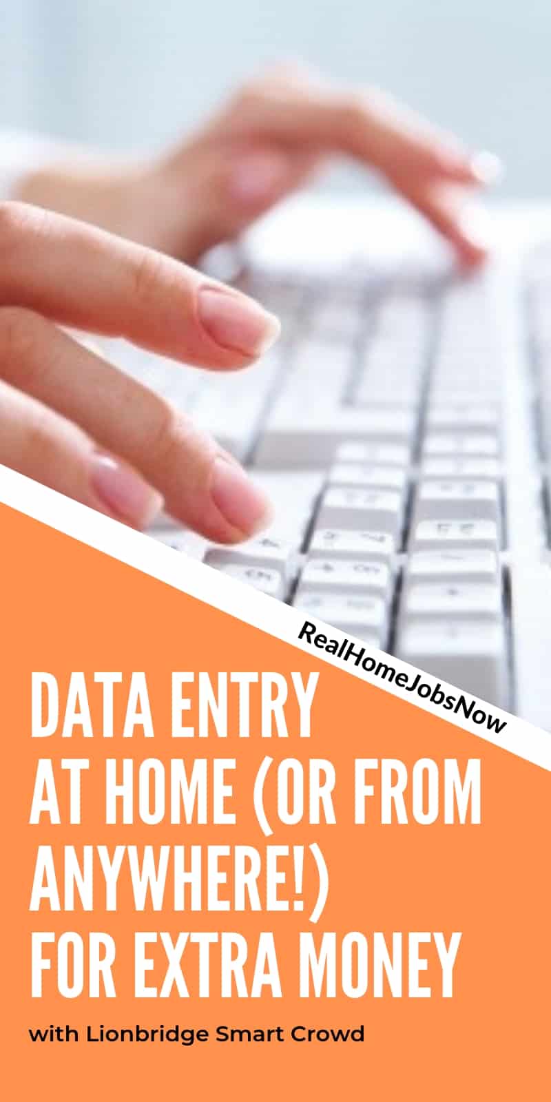 Virtual Bee: Work From Home Data Entry