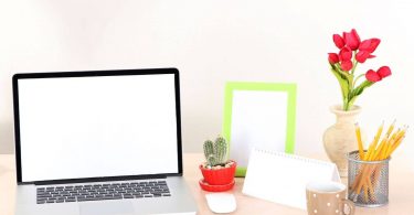 No Experience Online Jobs