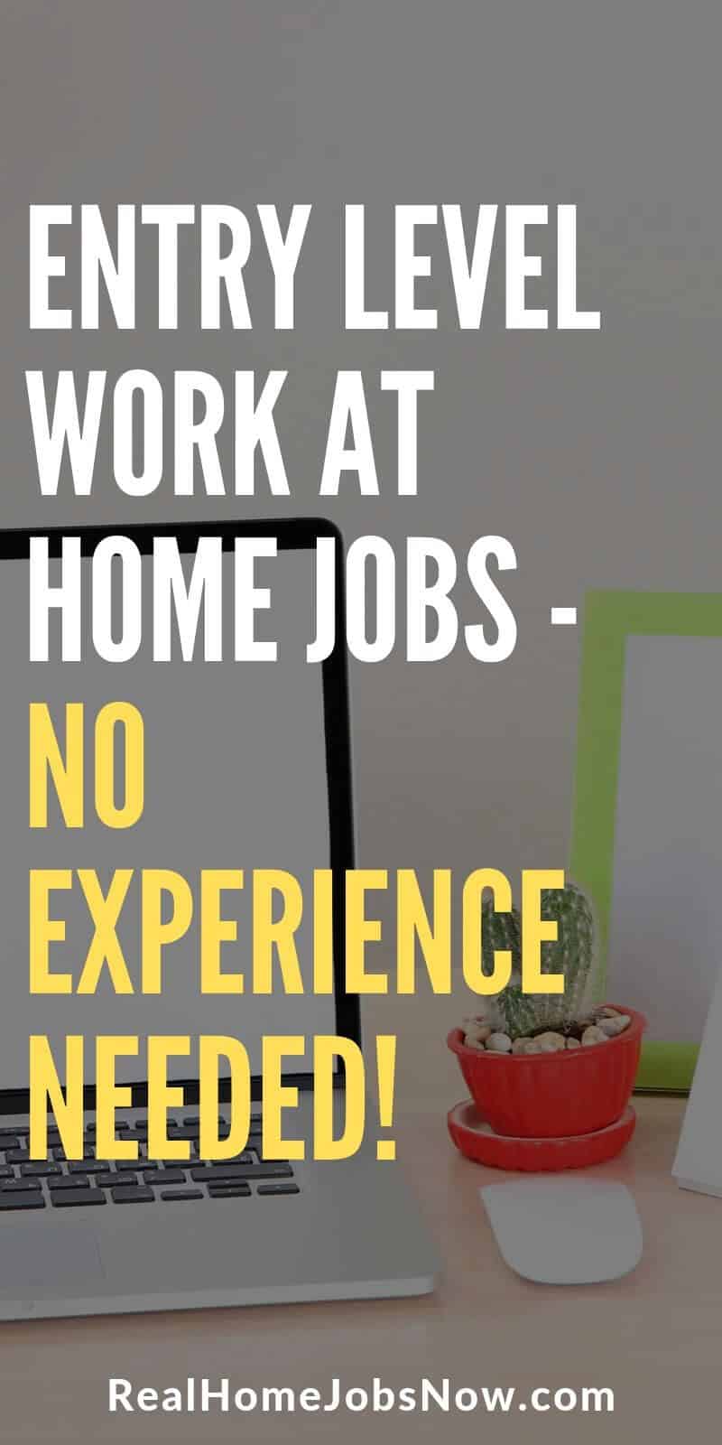 Big list of no experience jobs online that you can start applying for today! Even complete beginners can make money at home at entry level. These companies are legitimate, many are no fee, and a perfect for beginners.